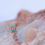Thumbnail: BVLA Millgrain Flower Threadless Rose and White with Paraibia Topaz