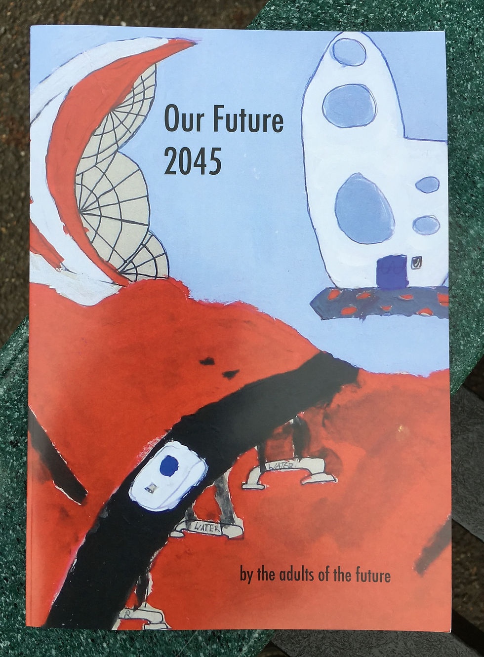 book cover for Our Future 2045