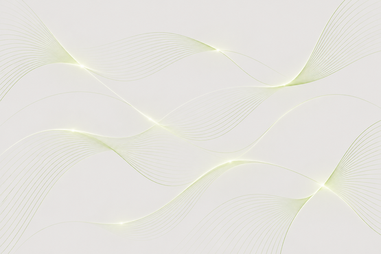 Section 01.png