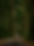 Vertical.png