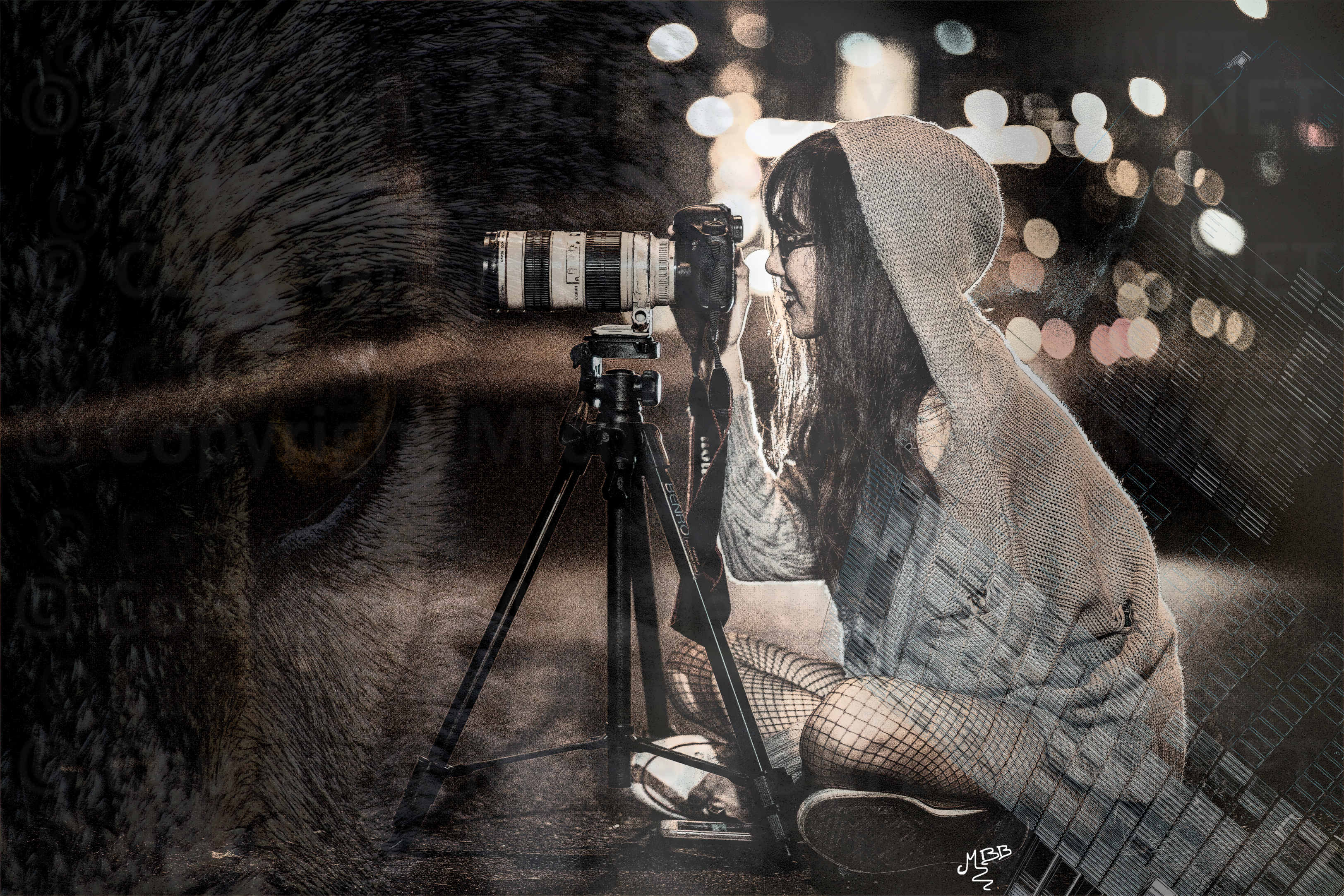 Photographe naturbain