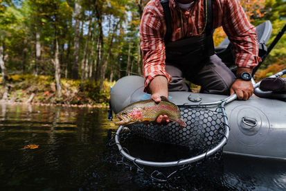 Deerfield River, Trout, Fly Fishing, Foolhardy Hill, Mohawk Trail, Camping, Cabin Rental