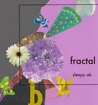 fractal.jpeg