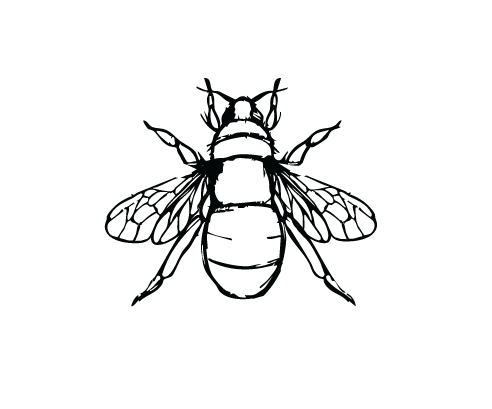 Faith-based marriage coaching supporting women in restoring intimacy