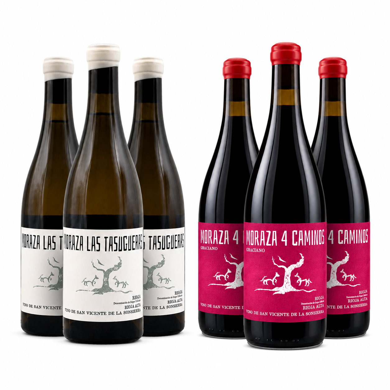 Las Tasugueras – Tempranillo Blanco 4 Caminos – Gaciano