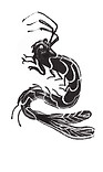 waterland tattoos.jpg