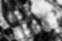 LAP09952_edited.jpg
