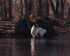  by Carter Mihan