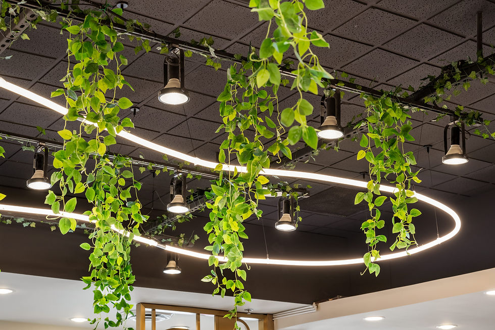 U Town Hot Pot - Restaurant Design - Commercial Project - Linhan Design