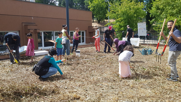 Préparation du design en permaculture, gestion holistique des territoires