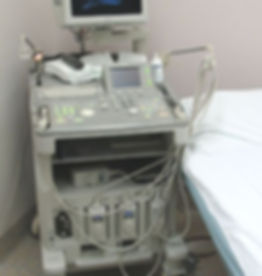 AlokaPhoto2006a.jpg