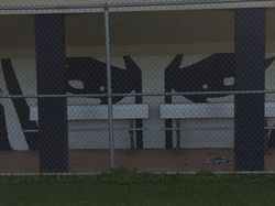 Visitor's dugout detail