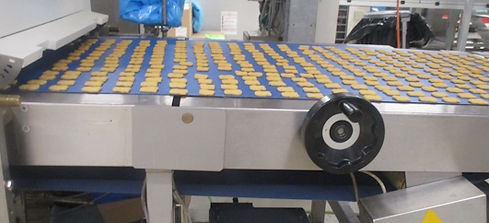 Förderbandreinigung