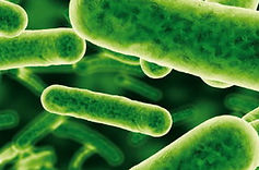 beseitigen von Bakterien, Keimen, Parasiten