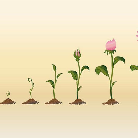 CIU330 Journal week Ten