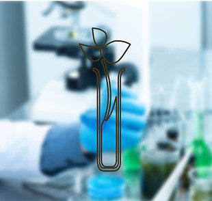 صور موقع النميص-04.jpg