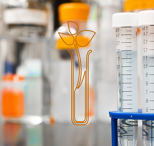 مختبر فحص-11.png