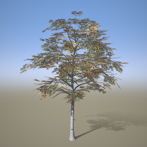Speed tree experiments