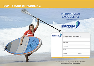 VDWS SUP Basic Licence.png