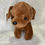 Miniatura: Peluche Perrito