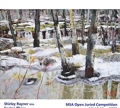 Shirley Rayner MSA