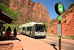 np3-9.jpg