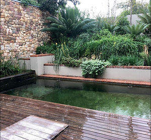 Eco pool.jpg