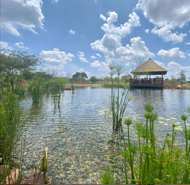 Ponds And Water-Features