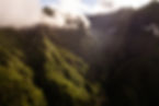 scenic-green-mountainous-woods-lit-by-sunlight-2026-01-08-23-39-14-utc.jpg