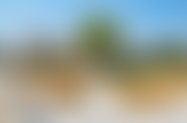 What It Really Took: Two stories of buying a home in Los Angeles…well before the average age of 40+