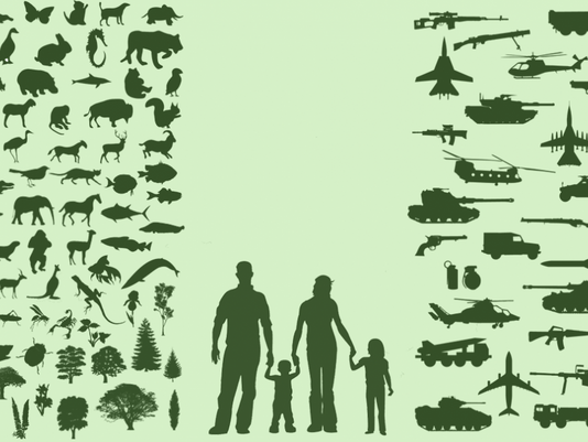 Importance of biodiversity in public health