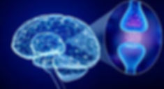 Parkinson's Foundation