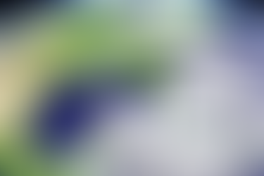 Hurricanes Potential Risk to Cannabis Businesses