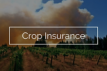S2S and R&A Insurance Coverage Graphics copy.png
