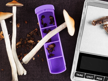 Four Must-Have Insurance Coverages for Psychedelic Medicinal Businesses