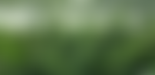 Landlords Need The Right Insurance Before Leasing to Cannabis Growers