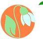 logo-lumikello-retina.webp