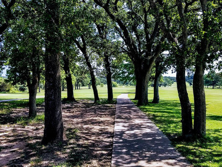 Revitalizing the Greens: Hearne's Exciting Transformation of Our Golf Course Awaits You!