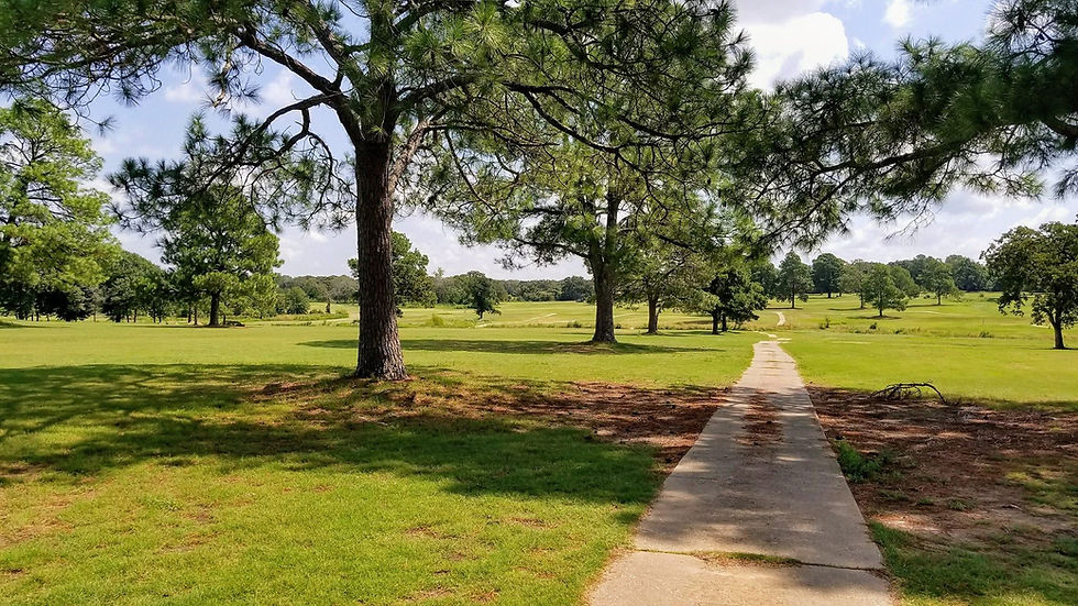 A Hidden Gem in Our Own Backyard: Celebrating the Hearne Municipal Golf Course