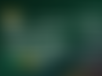 南非（南非共和國，Republic of South Africa）2026 世足國家隊檔案：A組對手、三場賽程與戰力觀察