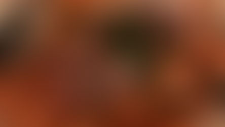 Fine Dining on a Budget