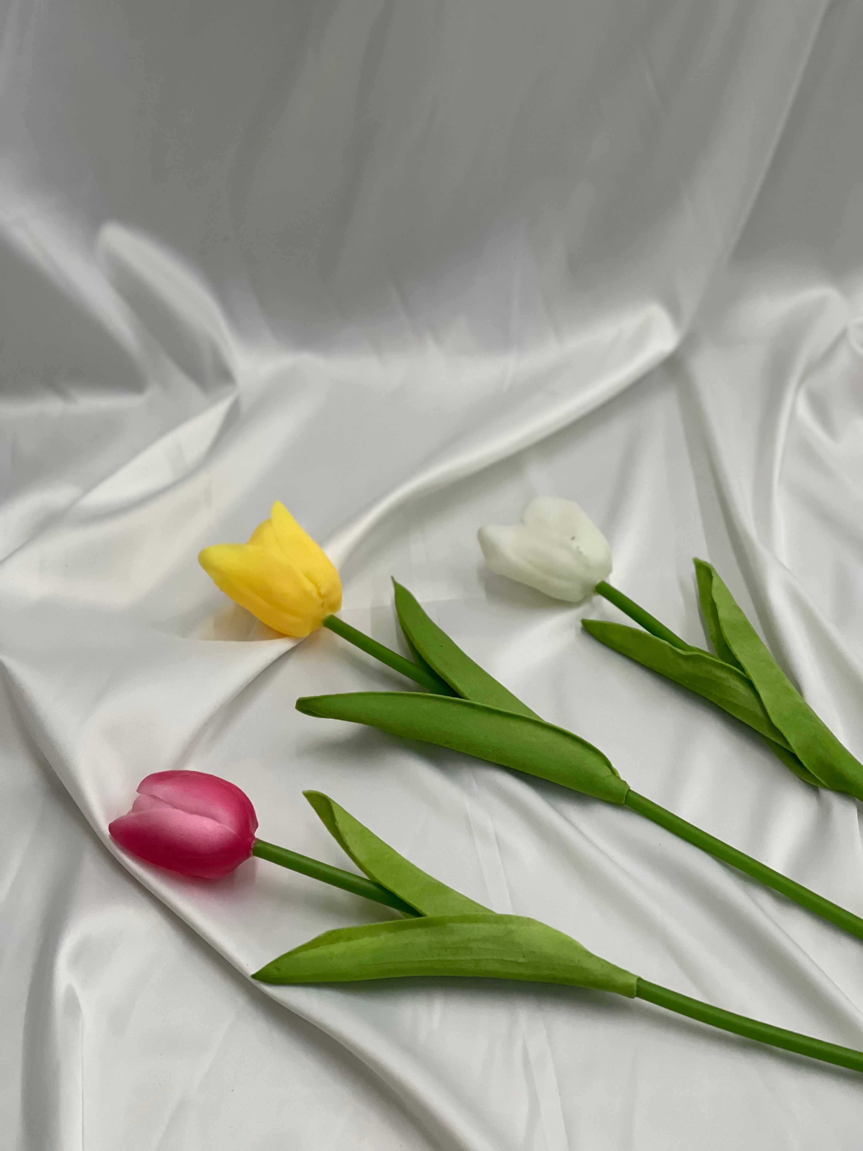 Scented Tulip stem