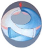 SVS logo business card_edited.png