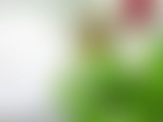 Aligning our Priorities with the Empress Reversed