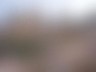 A trip of a lifetime