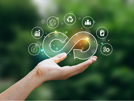 Circular Economy: Transforming the Plastics Industry