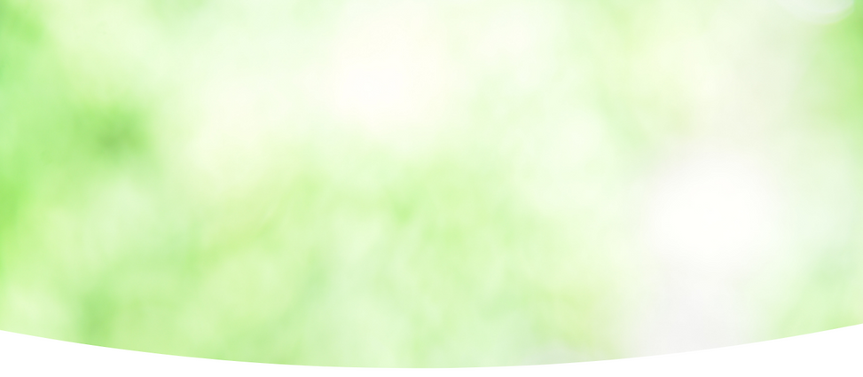 fondos (6).png