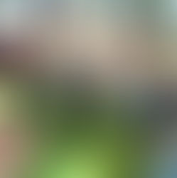 Give Up on Giving Up Hope. NO KINGS!