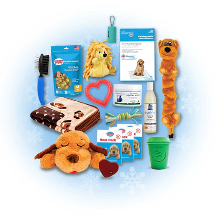 The-New-Puppy-Gotcha-Bundle-by-Snuggle-Puppy.webp