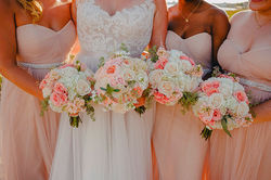 Cape Cod Celebrations-Cape Cod Celebrati